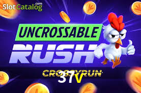Daily Bonuses 37v